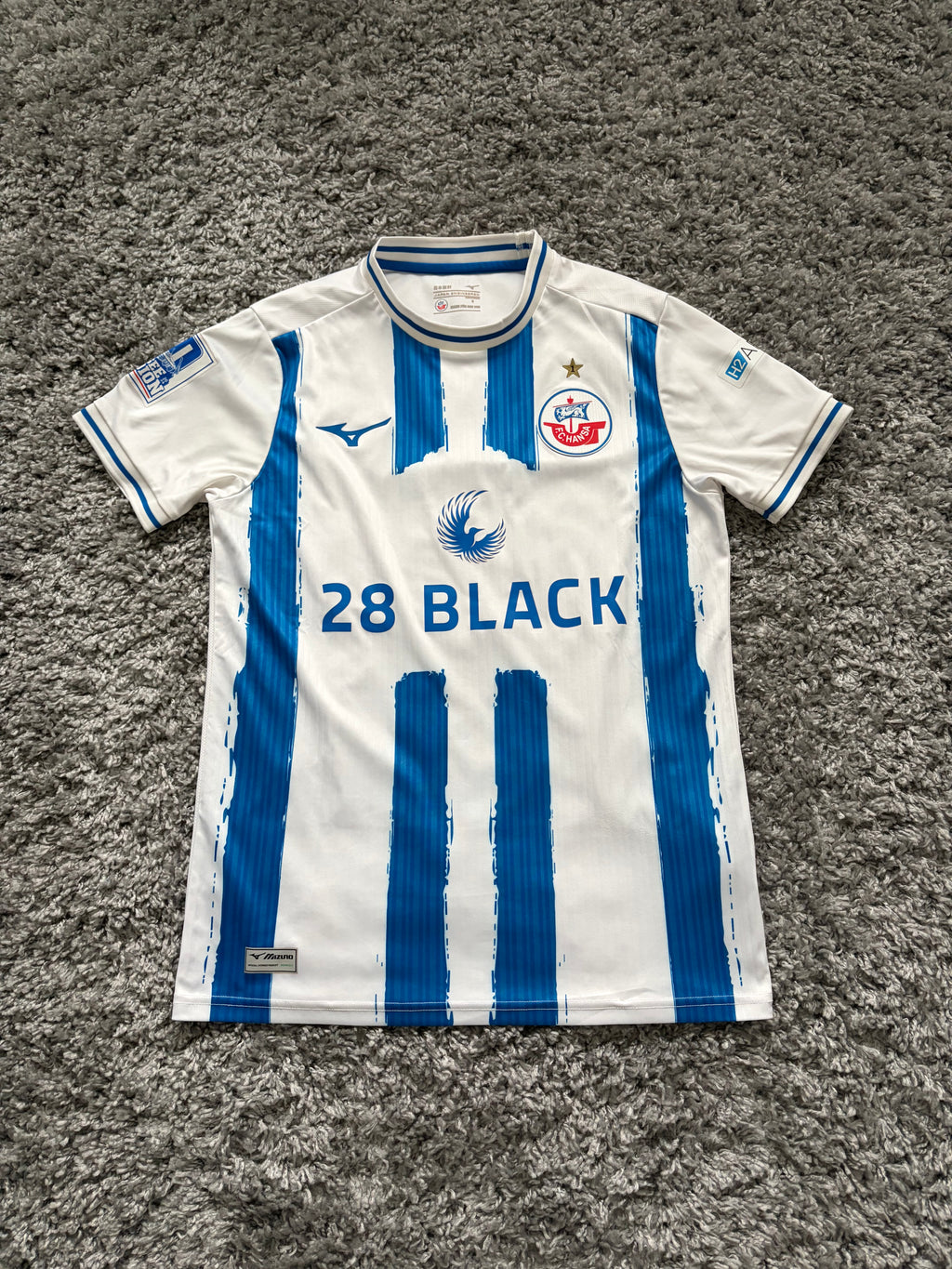 FC Hansa Trikot (S)